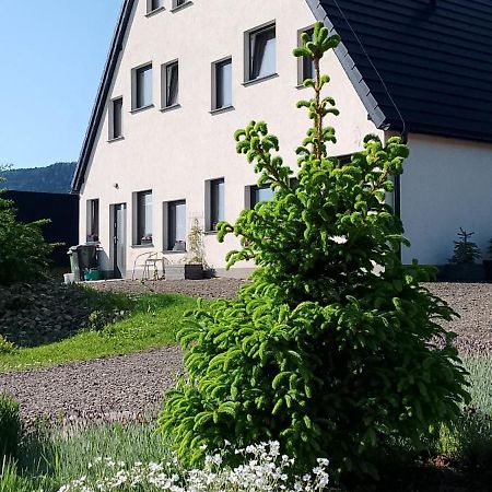 Otulina Dom W Gorach Stolowych Pod Szczelincem Pogranicze Pl-Cz 拉德库夫 外观 照片